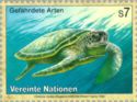 Green Sea Turtle (Chelonia mydas)