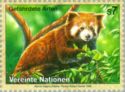 Chinese Red Panda (Ailurus fulgens)