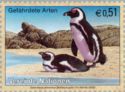 African Penguin (Spheniscus demersus)