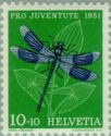 Banded Demoiselle (Calopteryx splendens)