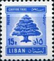 Cedar of Lebanon
