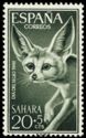 Fennec (Fennecus zerda)