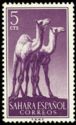 Dromedary (Camelus dromedarius)