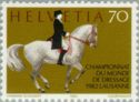 Dressage rider