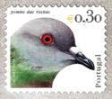 Rock Dove (Columba livia)