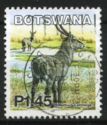 Ellipsen Waterbuck (Kobus ellipsiprymnus)