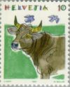 Cattle (Bos primigenius taurus)