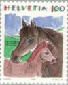 Horses (Equus ferus caballus)