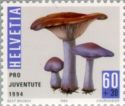 Wood Blewit (Lepista/Clitocybe nuda)