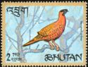 Satyr Tragopan (Tragopan satyra)