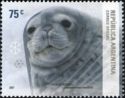 Weddell Seal (Leptonychetes weddelli)
