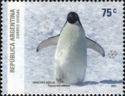 Adelie Penguin (Pygoscelis adeliae)