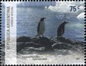 Gentoo Penguin (Pygoscelis papua)