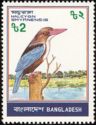 White-throated Kingfisher (Halcyon smyrnensis)