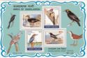 Birds of Bangladesh
