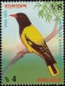 Black-hooded Oriole (Oriolus xanthornus)