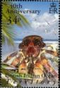 Coconut Crab (Birgus latro)