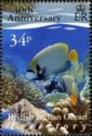 Queen Angelfish (Holacanthus ciliaris)