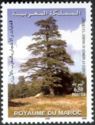 Forests & Trees of Morocco - Cedar