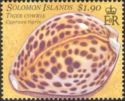 Tiger Cowrie (Cypraea tigris)