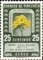 National Tree - Araguaney (Tabebuia chrysantha)