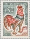 Gallic Cock (Gallus gallus domesticus)