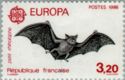 C.E.P.T - Lesser Horseshoe Bat (Rhinolophus hipposideros)