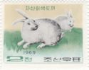 Domestic Rabbit (Oryctolagus cuniculus domesticus)