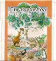 Eucalyptus tea, light colour, glossy