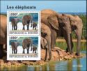 African Bush Elephant (Loxodonta africana)