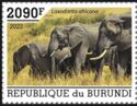 African Bush Elephant (Loxodonta africana)