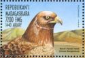 Marsh Harrier Hark (Circus seruginosus)