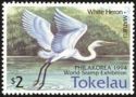Great White Heron (Ardea alba)