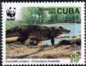 Cuban Crocodile (Crocodylus rhombifer)
