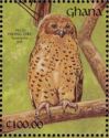 Pel's Fishing Owl (Scotopelia peli)
