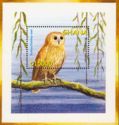 Rufous Fishing Owl (Scotopelia ussheri)
