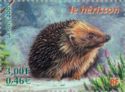 West European Hedgehog (Erinaceus europaeus)