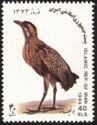 Eurasian Bittern (Botaurus stellaris)