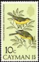Vitelline Warbler (Dendroica vitellina) 