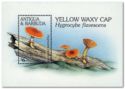 Yellow Waxy Cap (Hygrocybe flavescens)