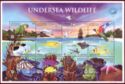 Undersea Wildlife