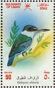 Collared Kingfisher (Halcyon chloris)