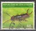 Common Earwig (Forticula auricularia)