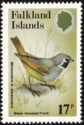 Black-throated Finch (Melanodera melanodera melanodera)