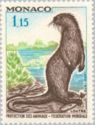 Eurasian Otter (Lutra lutra)