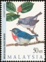 Grey-sided Flowerpecker (Dicaeum celebicum)