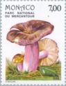 Russula olivacea