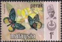 Malayan Jezebel (Delias ninus)