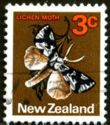 South Island Lichen Moth (Declana egregia)
