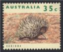Short-beaked Echidna (Tachyglossus aculeatus)